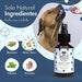 Belly Spray Dental para Cães com Óleo de Menta e Rosmaninho - Elimina o Mau Hálito (100ml) - PetDoctors - Loja Online