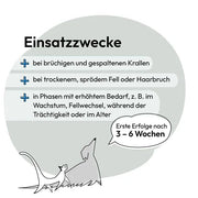 Biotin Forte, para cães e gatos, pêlo macio e unhas fortes, (1 x 400 unidades) - PetDoctors - Loja Online