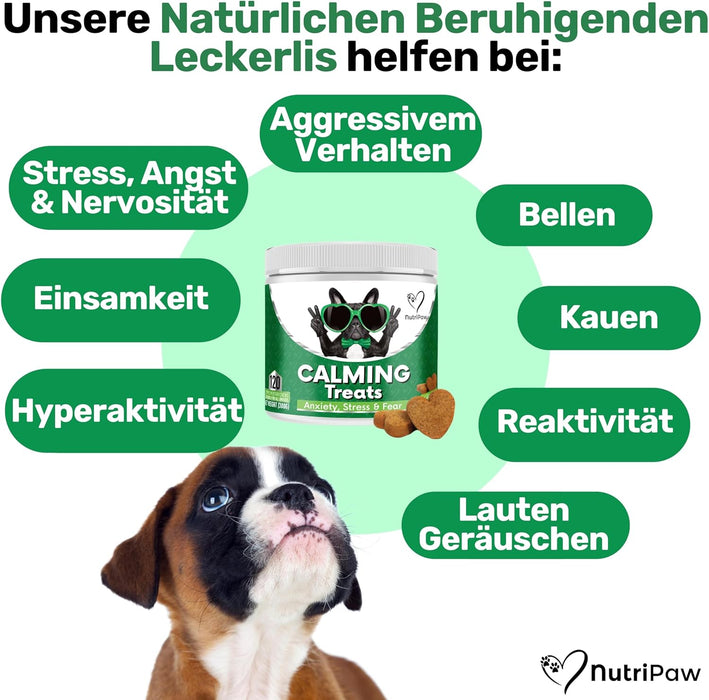 Biscoitos calmantes para cães - Reduzem o stress, ansiedade, ansiedade de separação, ladrar, hiperatividade, reatividade, agressividade, problemas de viagem - relaxamento sem sonolência para cães - PetDoctors - Loja Online