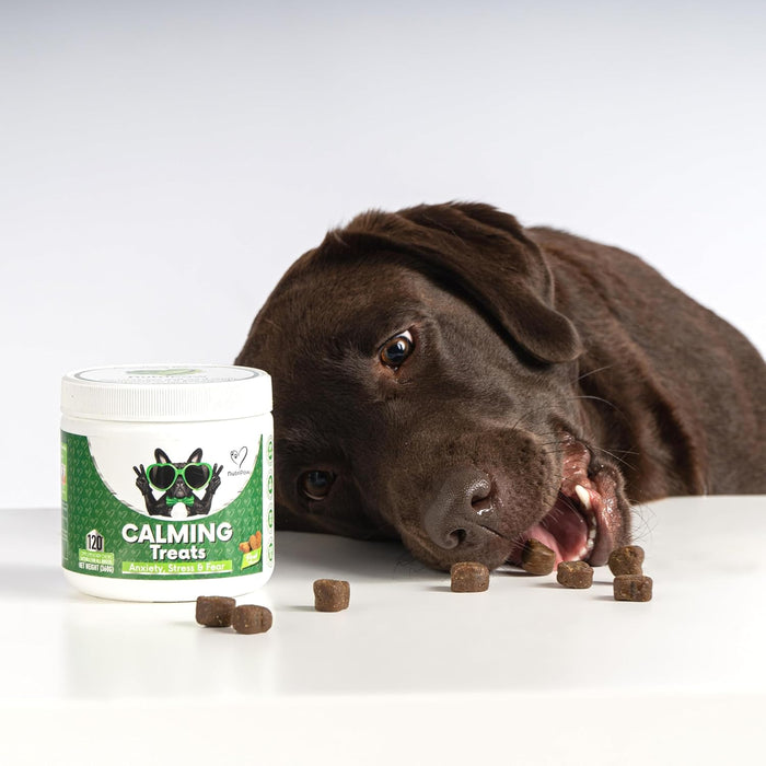 Biscoitos calmantes para cães - Reduzem o stress, ansiedade, ansiedade de separação, ladrar, hiperatividade, reatividade, agressividade, problemas de viagem - relaxamento sem sonolência para cães - PetDoctors - Loja Online