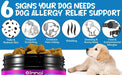 Biscoitos para alívio de alergias e comichões, para cães (30 unidades de sabor a pato), snack anticomichão - PetDoctors - Loja Online