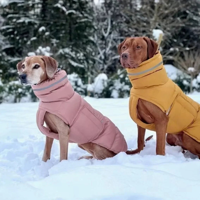 Blusão / Casaco de Inverno, Quente e Impermeável, para Cães - PetDoctors - Loja Online