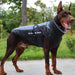 Blusão / Casaco Impermeável e Quente para Cães de Raças Médias e Grandes - PetDoctors - Loja Online