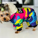 Blusão Colorido, Quente, Impermeável e com Capuz para Cães Pequenos / Médios - PetDoctors - Loja Online