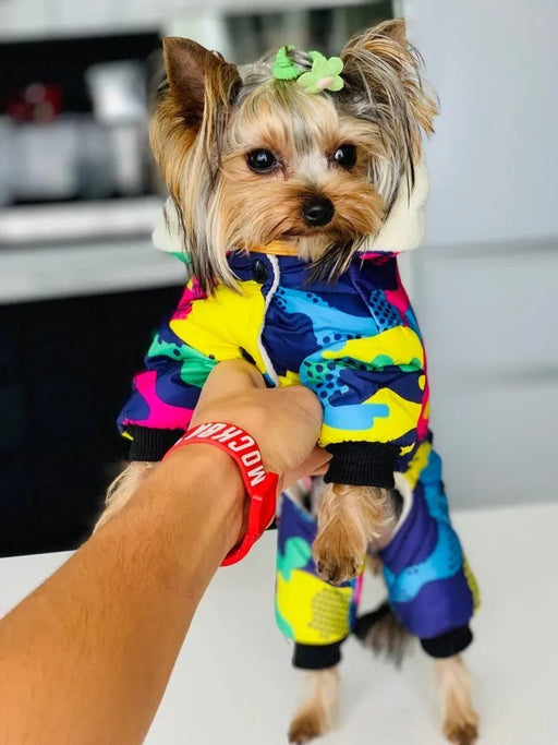 Blusão Colorido, Quente, Impermeável e com Capuz para Cães Pequenos / Médios - PetDoctors - Loja Online