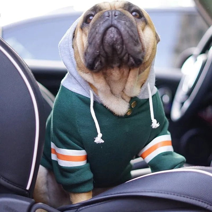 Blusão com Capuz para Cães (French Bulldog ou raças pequenas ou médias) - PetDoctors - Loja Online