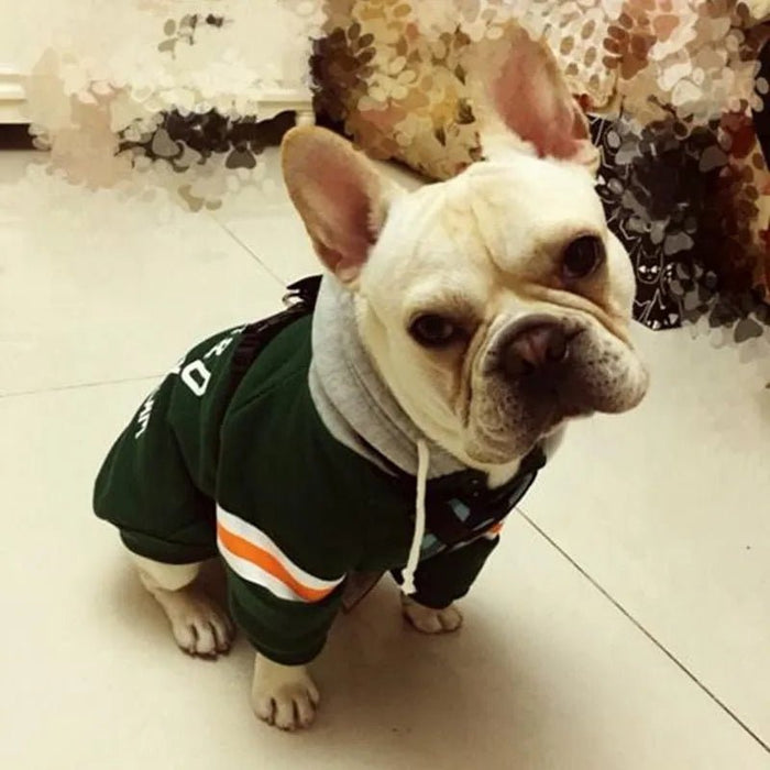 Blusão com Capuz para Cães (French Bulldog ou raças pequenas ou médias) - PetDoctors - Loja Online