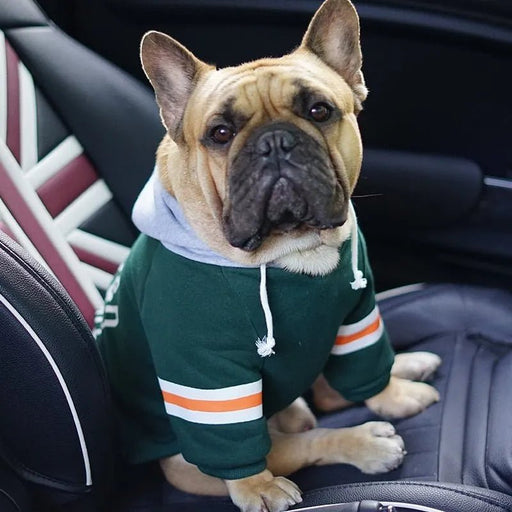 Blusão com Capuz para Cães (French Bulldog ou raças pequenas ou médias) - PetDoctors - Loja Online