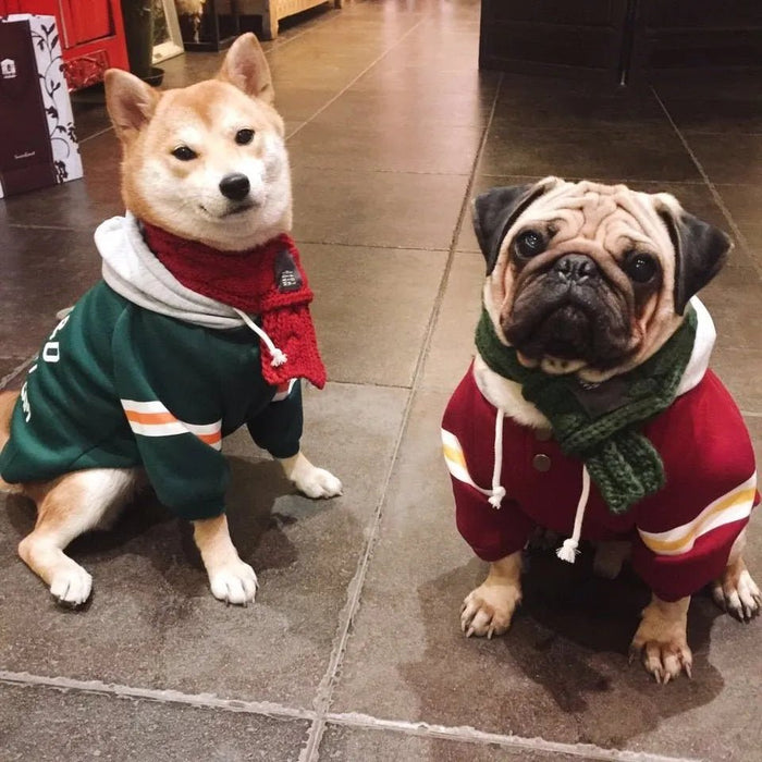 Blusão com Capuz para Cães (French Bulldog ou raças pequenas ou médias) - PetDoctors - Loja Online