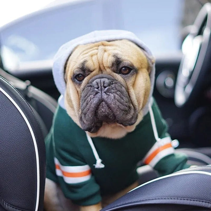 Blusão com Capuz para Cães (French Bulldog ou raças pequenas ou médias) - PetDoctors - Loja Online