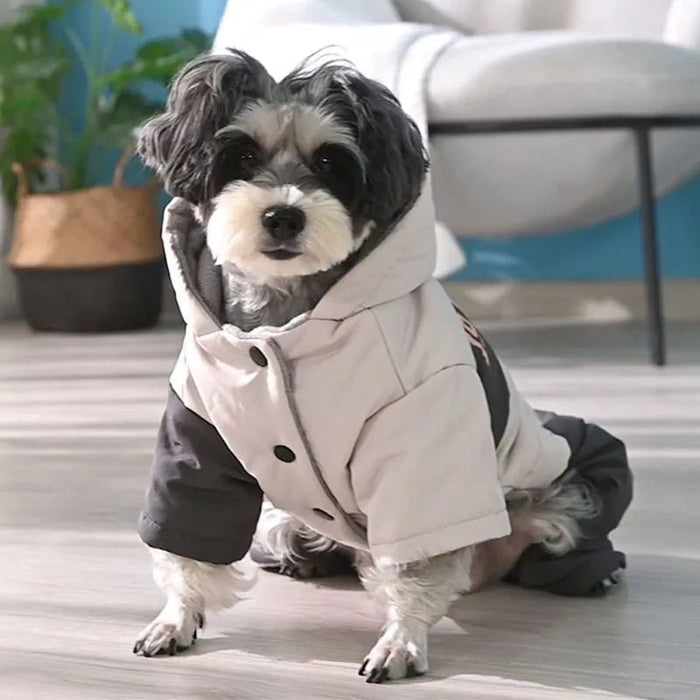 Blusão / Gabardine Impermeável com Capuz para Cães de Raça Pequena e Média - PetDoctors - Loja Online