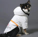Blusão Impermeável Refletor para Cães de Raças Médias e Grandes - PetDoctors - Loja Online