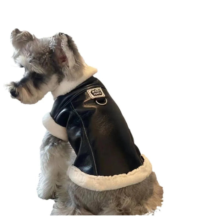 Blusão quente, Outono / Inverno, para cães pequenos e médios - PetDoctors - Loja Online