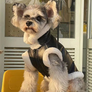 Blusão quente, Outono / Inverno, para cães pequenos e médios - PetDoctors - Loja Online