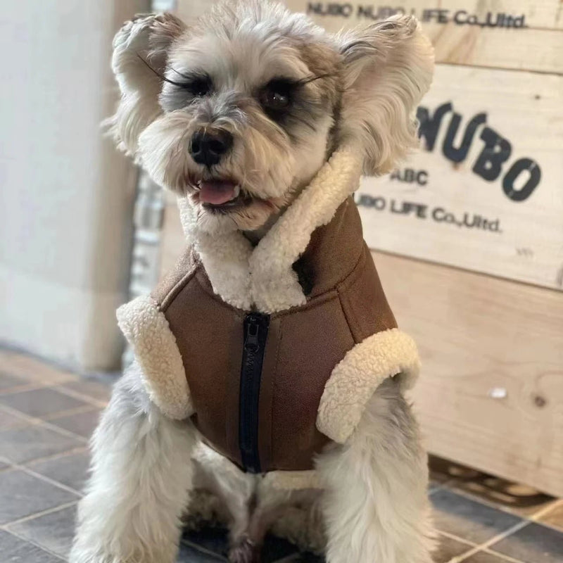 Blusão quente, Outono / Inverno, para cães pequenos e médios - PetDoctors - Loja Online