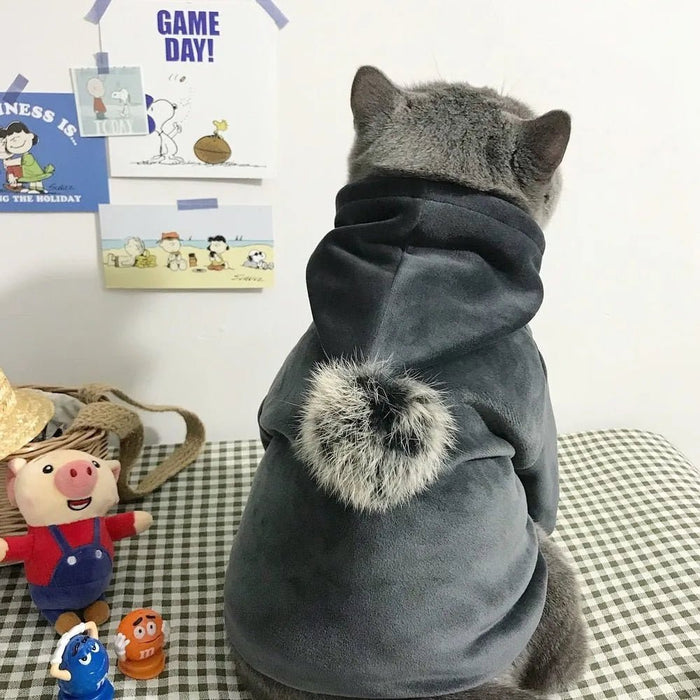 Blusão tipo Polar / Fleece para Gatos ou Cães Pequenos e Médios - PetDoctors - Loja Online