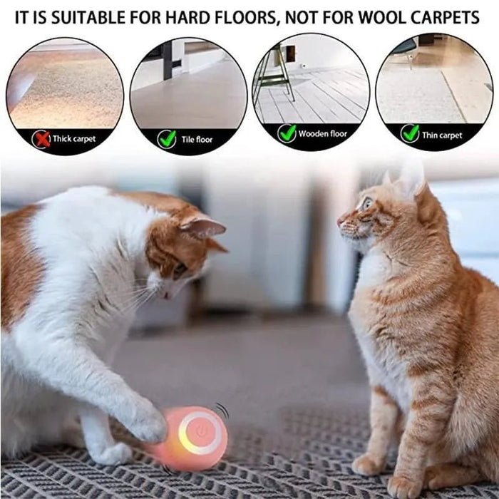Bola / brinquedo com auto - movimento para gatos ou cães (carregamento USB) - PetDoctors - Loja Online