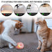 Bola / brinquedo com auto - movimento para gatos ou cães (carregamento USB) - PetDoctors - Loja Online