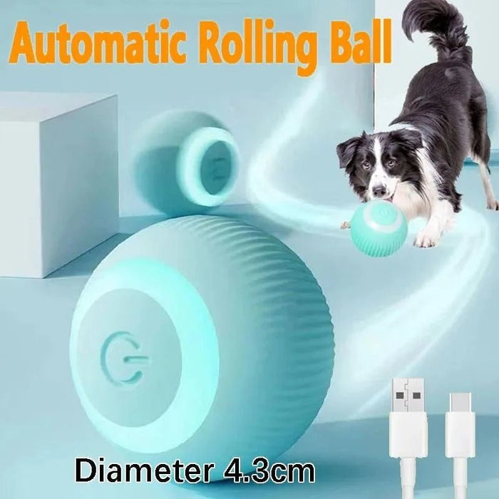 Bola / brinquedo com auto - movimento para gatos ou cães (carregamento USB) - PetDoctors - Loja Online