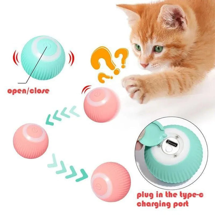 Bola / brinquedo com auto - movimento para gatos ou cães (carregamento USB) - PetDoctors - Loja Online