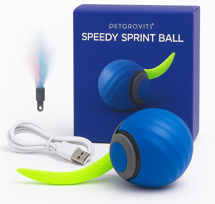 Bola / brinquedo interativo para gatos, Speedy Tail - PetDoctors - Loja Online