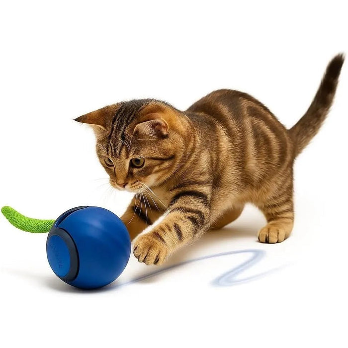 Bola / brinquedo interativo para gatos, Speedy Tail - PetDoctors - Loja Online