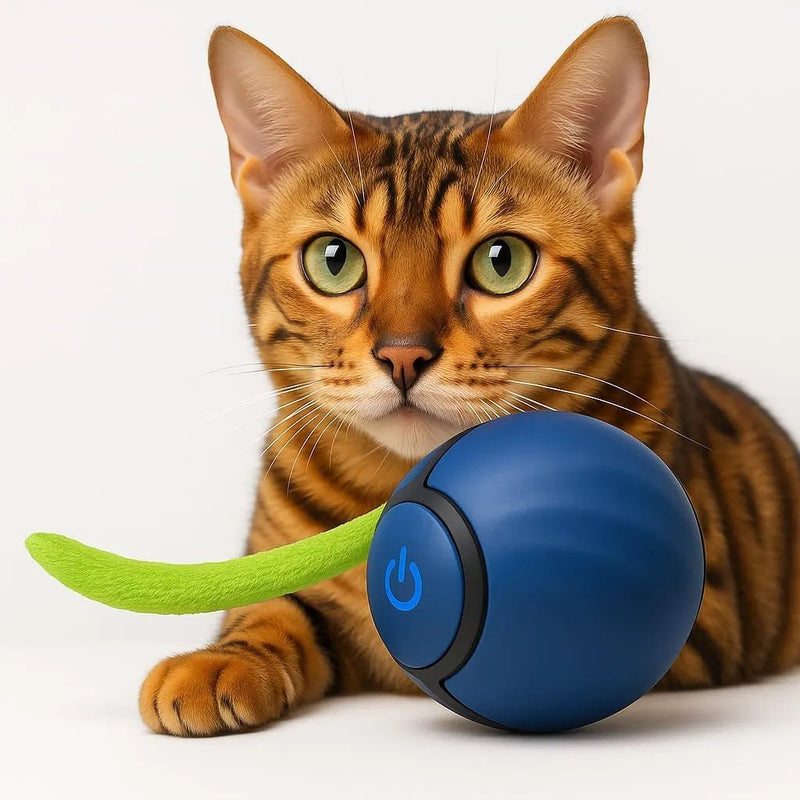 Bola / brinquedo interativo para gatos, Speedy Tail - PetDoctors - Loja Online