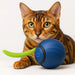 Bola / brinquedo interativo para gatos, Speedy Tail - PetDoctors - Loja Online