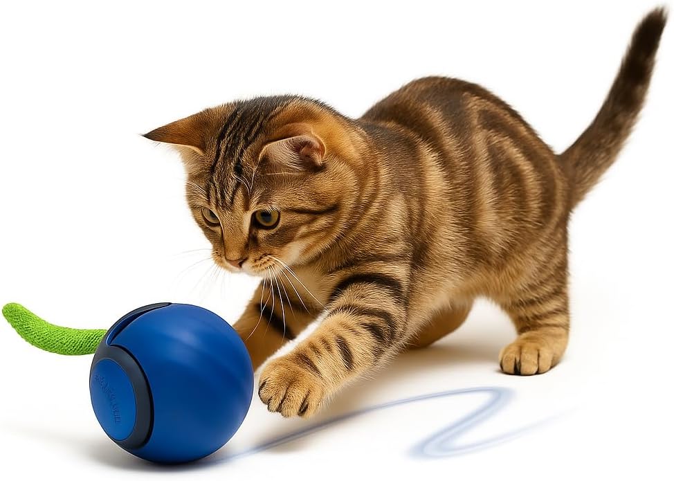 Bola / brinquedo interativo para gatos, Speedy Tail - PetDoctors - Loja Online