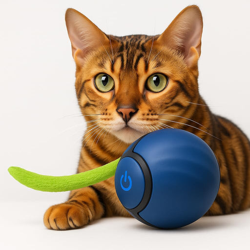 Bola / brinquedo interativo para gatos, Speedy Tail - PetDoctors - Loja Online