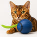 Bola / brinquedo interativo para gatos, Speedy Tail - PetDoctors - Loja Online