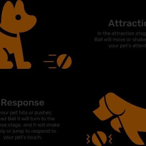 ⭐️⭐️⭐️⭐️⭐️ Bola "Inteligente" / Brinquedo Super - Divertido para 🐶 Cães e 🐱 Gatos (carregamento USB - Luz LED Flash) ⭐️⭐️⭐️⭐️⭐️ - PetDoctors - Loja Online