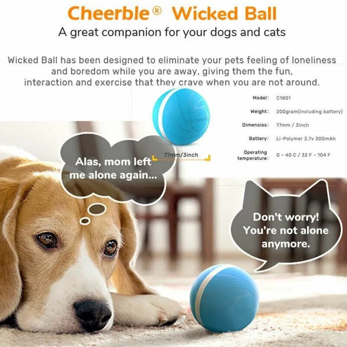⭐️⭐️⭐️⭐️⭐️ Bola "Inteligente" / Brinquedo Super - Divertido para 🐶 Cães e 🐱 Gatos (carregamento USB - Luz LED Flash) ⭐️⭐️⭐️⭐️⭐️ - PetDoctors - Loja Online