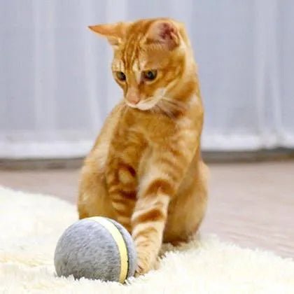 ⭐️⭐️⭐️⭐️⭐️ Bola "Inteligente" / Brinquedo Super - Divertido para 🐶 Cães e 🐱 Gatos (carregamento USB - Luz LED Flash) ⭐️⭐️⭐️⭐️⭐️ - PetDoctors - Loja Online