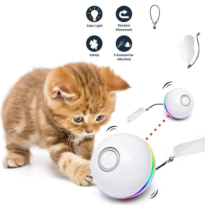 Bola Interativa, com LEDs, Recarregável por USB / Brinquedo para Gatos ou Cães - PetDoctors - Loja Online