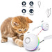 Bola Interativa, com LEDs, Recarregável por USB / Brinquedo para Gatos ou Cães - PetDoctors - Loja Online