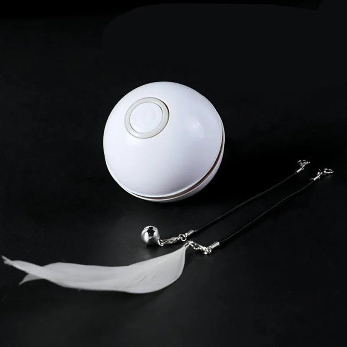 Bola Interativa, com LEDs, Recarregável por USB / Brinquedo para Gatos ou Cães - PetDoctors - Loja Online