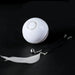 Bola Interativa, com LEDs, Recarregável por USB / Brinquedo para Gatos ou Cães - PetDoctors - Loja Online