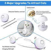 Bola Interativa, com LEDs, Recarregável por USB / Brinquedo para Gatos ou Cães - PetDoctors - Loja Online