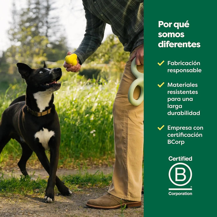 Bola para cão, brinquedo interativo para raças pequenas, médias e grandes, fabricado com borracha natural, uso interior e exterior - PetDoctors - Loja Online