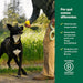 Bola para cão, brinquedo interativo para raças pequenas, médias e grandes, fabricado com borracha natural, uso interior e exterior - PetDoctors - Loja Online