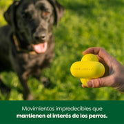 Bola para cão, brinquedo interativo para raças pequenas, médias e grandes, fabricado com borracha natural, uso interior e exterior - PetDoctors - Loja Online