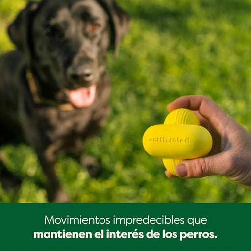 Bola para cão, brinquedo interativo para raças pequenas, médias e grandes, fabricado com borracha natural, uso interior e exterior - PetDoctors - Loja Online