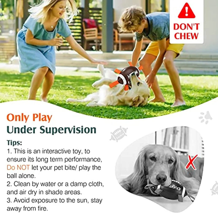 Brinquedo / Bola de Rugby para Cães - PetDoctors - Loja Online