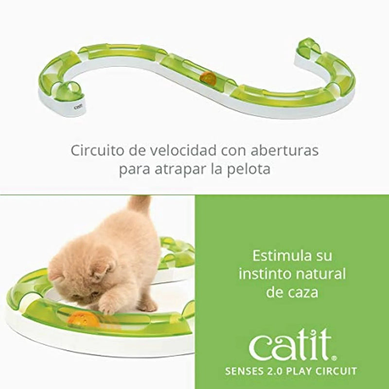 Brinquedo "Circuito de Velocidade" para Gatos - PetDoctors - Loja Online