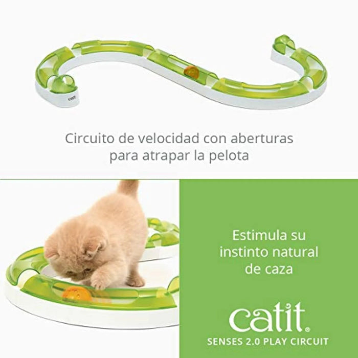 Brinquedo "Circuito de Velocidade" para Gatos - PetDoctors - Loja Online