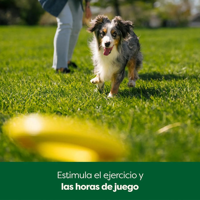 Brinquedo de disco voador para cães, brinquedo interativo de prato voador para cães adultos e cachorros - PetDoctors - Loja Online