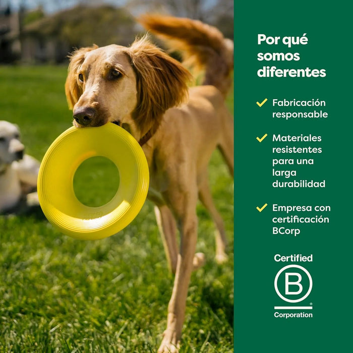 Brinquedo de disco voador para cães, brinquedo interativo de prato voador para cães adultos e cachorros - PetDoctors - Loja Online