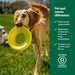 Brinquedo de disco voador para cães, brinquedo interativo de prato voador para cães adultos e cachorros - PetDoctors - Loja Online