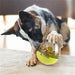 Brinquedo Interactivo / Dispensador de Biscoitos para Cães ou Gatos - PetDoctors - Loja Online